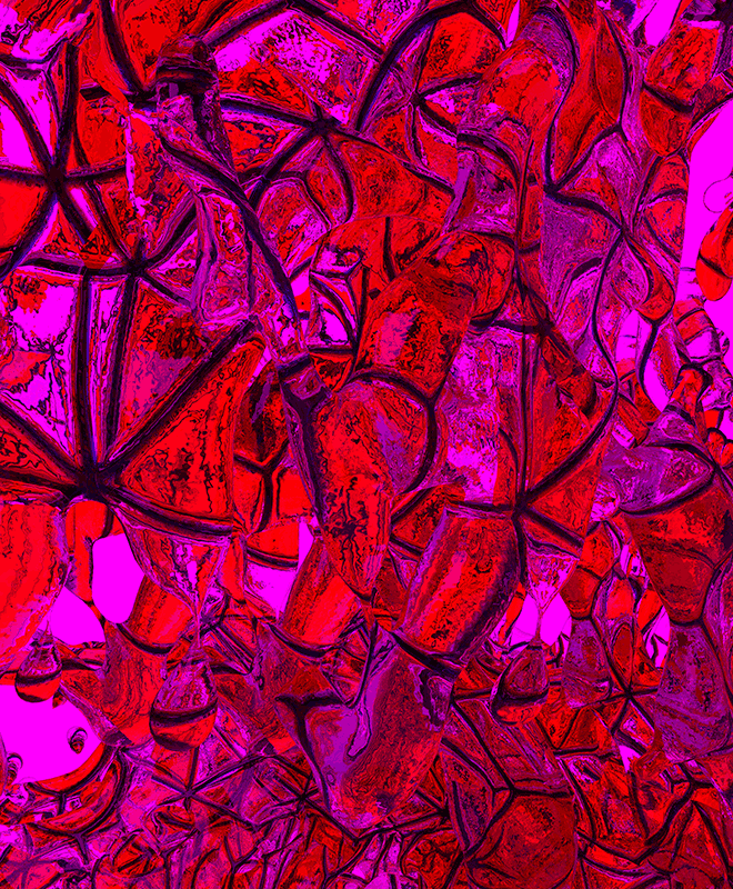 Krasch_Inside_Magenta_Rot_01